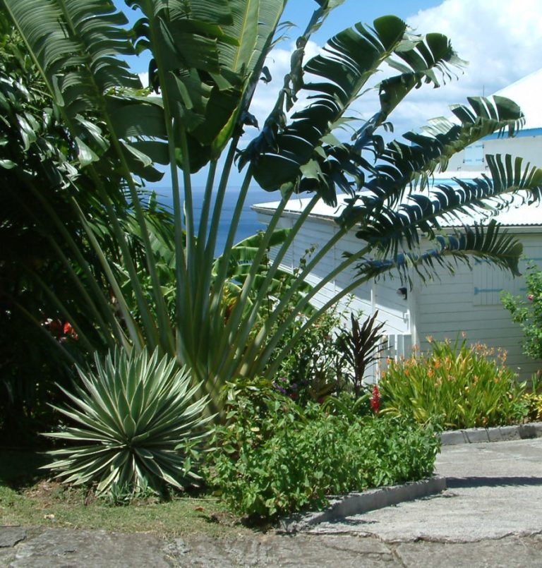 VERBÈKE Francis